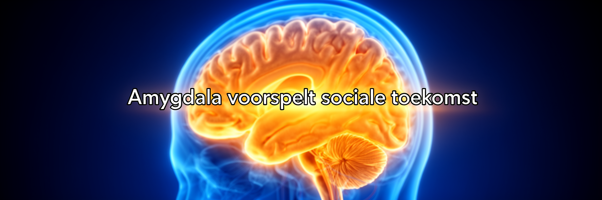 Coverafbeelding voor Amygdala en leeftijdsgesprek: hoe een hersengebied sociale ontwikkeling voorspelt bij jongens en meisjes
