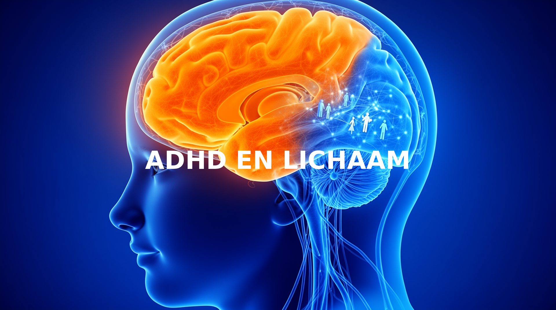 Coverafbeelding voor ADHD en het lichaam: wat de wetenschap zegt over de verbinding tussen hersenen en fysieke gezondheid